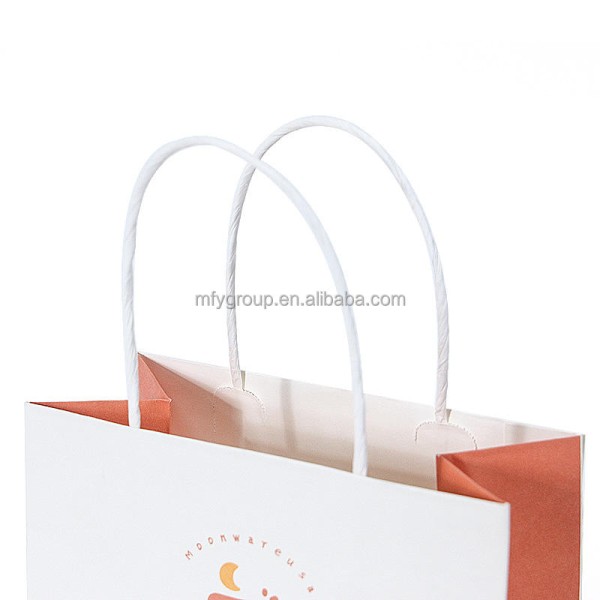 Paper Bags With Handle (CM-PBWH-6) - (Pack Of 250) - Image 11