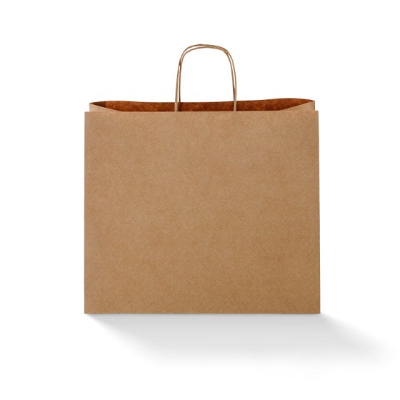 Paper Bags With Handle (CM-PBWH-6) - (Pack Of 250) - Image 16