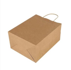 Paper Bags With Handle (CM-PBWH-6) - (Pack Of 250) - Image 5