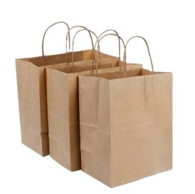 Paper Bags With Handle (CM-PBWH-1) - (Pack Of 250)