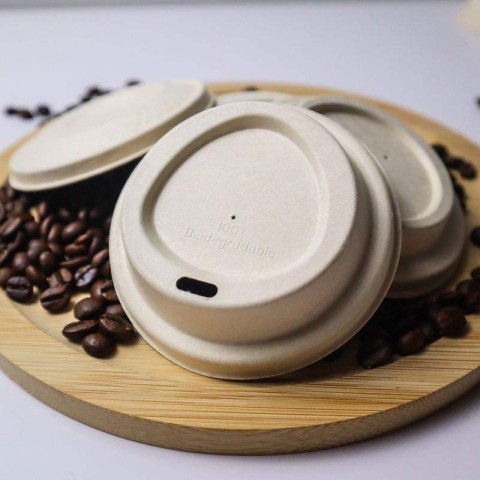 Coffee Cup Lids (HY-CCL-10) - Paper Lid -2 (Pack of 250)