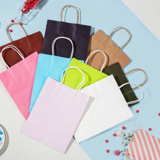 Paper Bags With Handle (CM-PBWH-2) - (Pack Of 250)