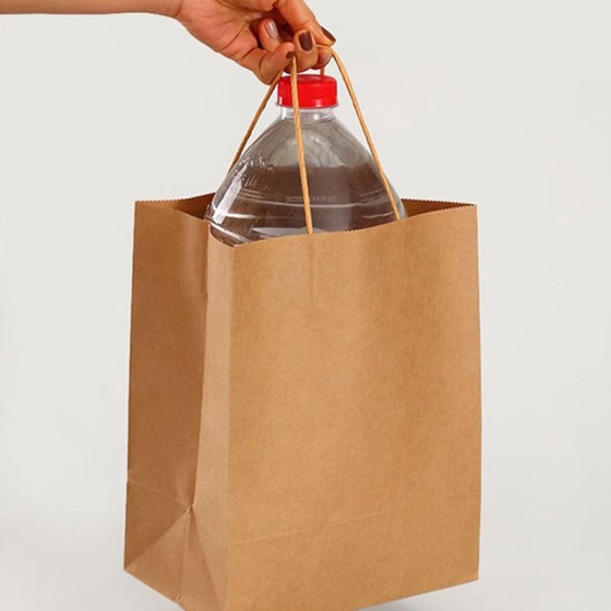 Paper Bags With Handle (CM-PBWH-4) - (Pack Of 250)