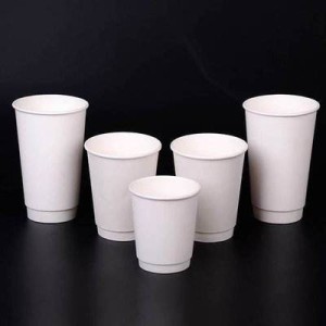Double Wall Cups (HY-DWC-10) - 10oz-330ML (Pack of 250)