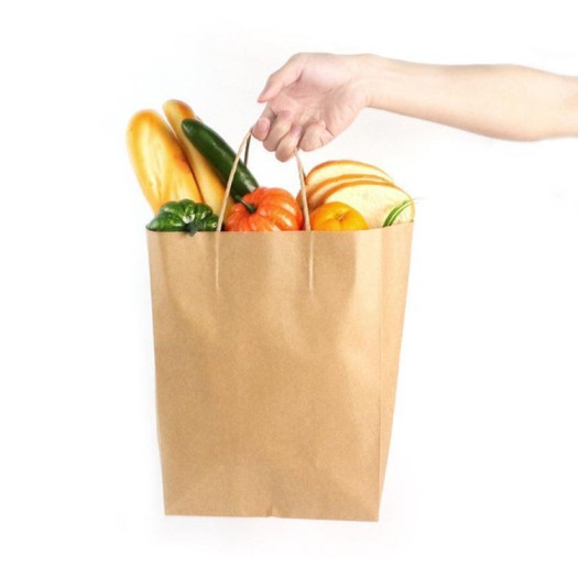 Paper Bags With Handle (CM-PBWH-5) - (Pack Of 250)