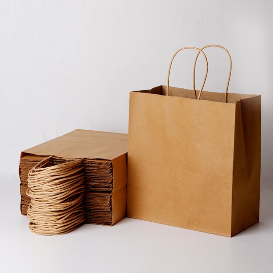 Paper Bags With Handle (CM-PBWH-6) - (Pack Of 250)