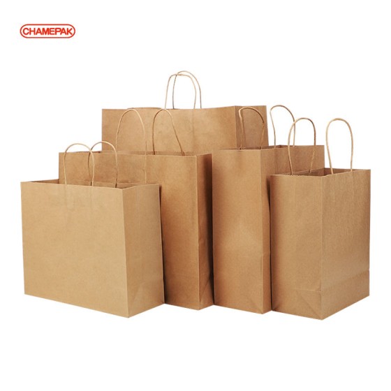 Paper Bags With Handle (CM-PBWH-7) - (Pack Of 250)