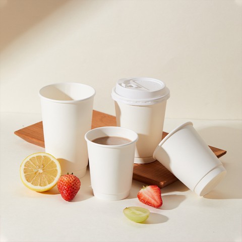 Double Wall Cups (HY-DWC-20) - 20oz-600ML (Pack of 250)