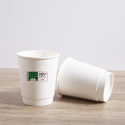 Double Wall Cups (HY-DWC-22) - 22oz-700ML (Pack of 250)
