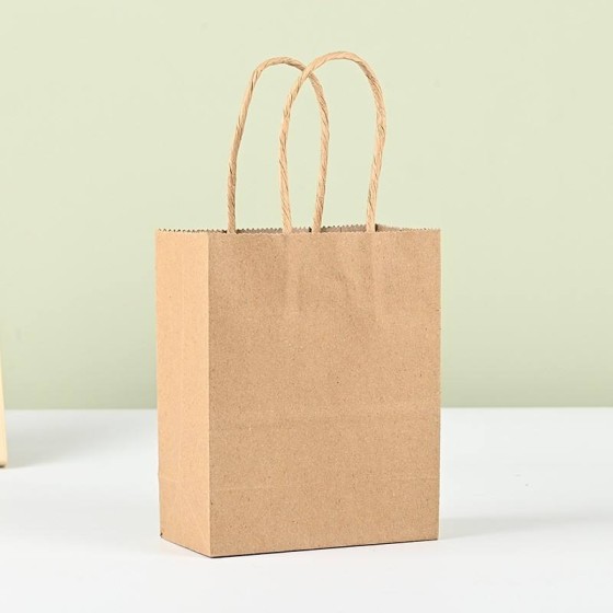 Paper Bags With Handle (CM-PBWH-9) - (Pack Of 250)