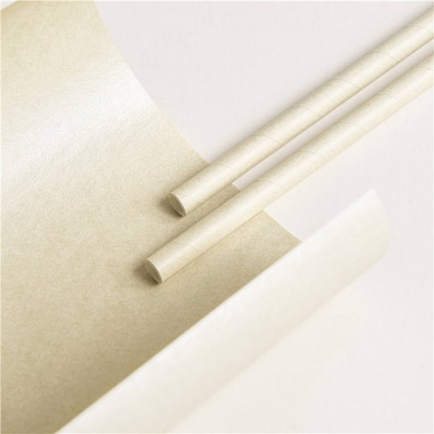 Straws (HY-PS-1) - (Pack of 250) - Image 13