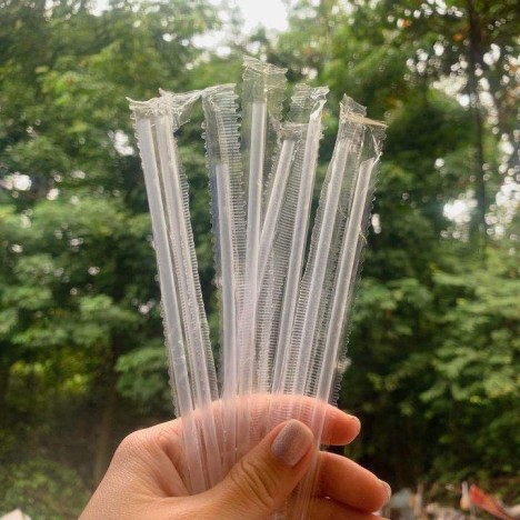 Straws (HY-PS-1) - (Pack of 250) - Image 3