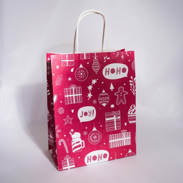 Paper Bags With Handle (CM-PBWH-3#) - (Pack Of 250) - Image 14