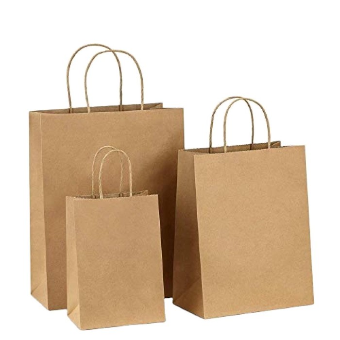 Paper Bags With Handle (CM-PBWH-3#) - (Pack Of 250) - Image 15