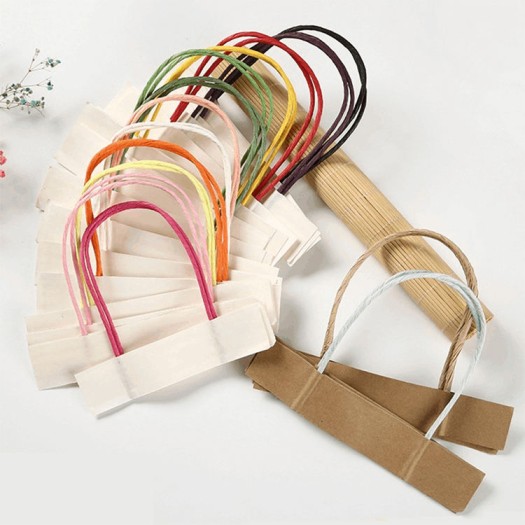 Paper Bags With Handle (CM-PBWH-3#) - (Pack Of 250) - Image 9