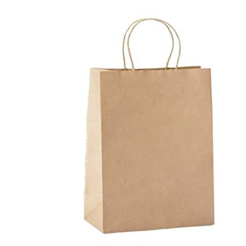 Paper Bags With Handle (CM-PBWH-10) - (Pack Of 250)