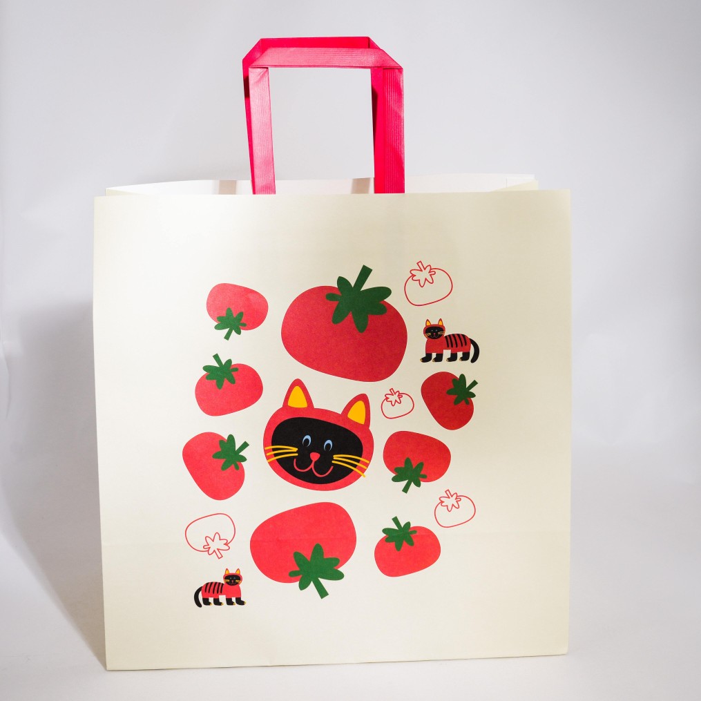 Paper Bags With Handle (CM-PBWH-12) - (Pack Of 250)