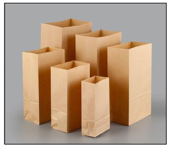 Paper Bags Without Handle (CM-PPWH-15) - (Pack Of 250)