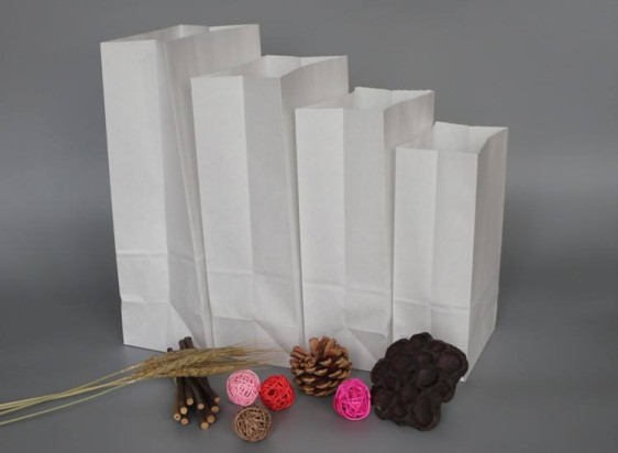 Paper Bags Without Handle (CM-PPWH-16) - (Pack Of 250)
