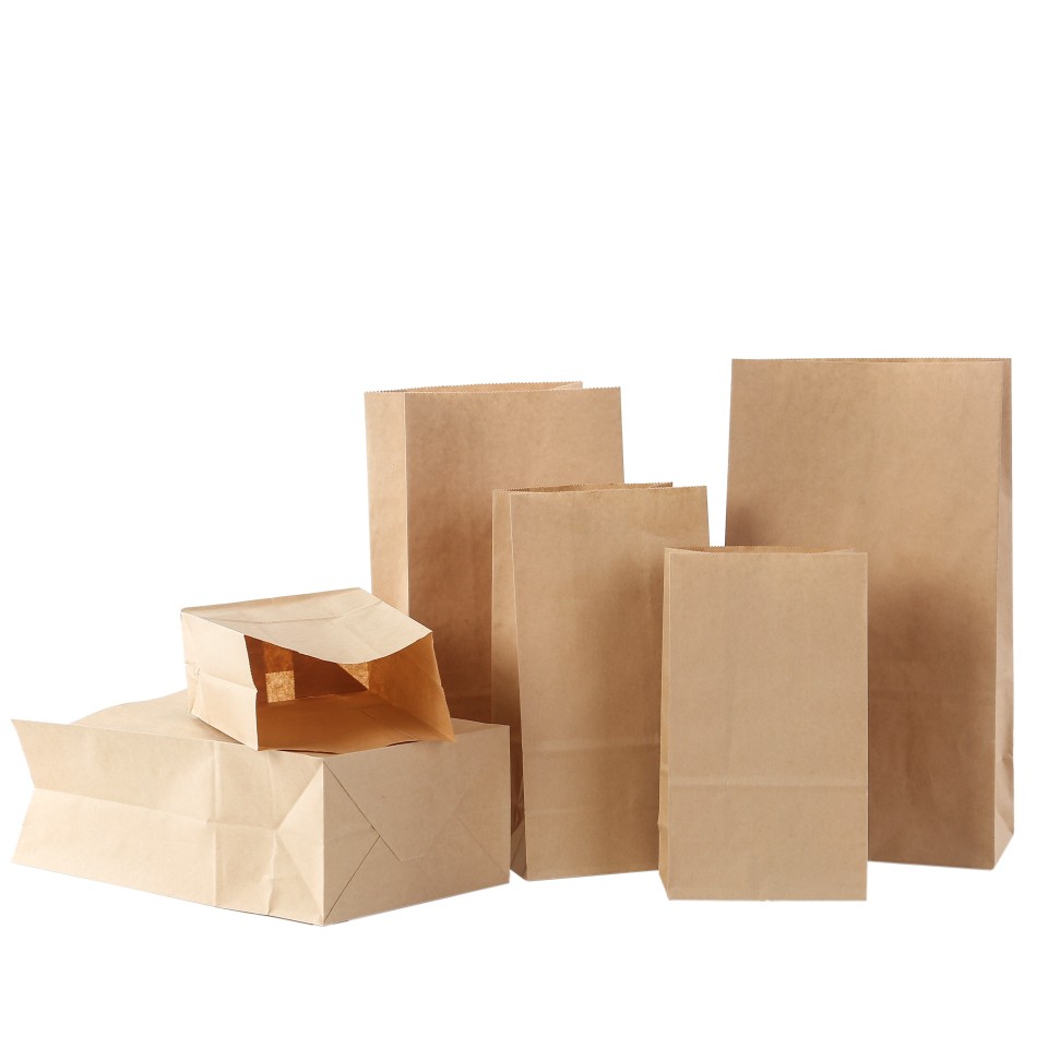 Paper Bags Without Handle (CM-PPWH-17) - (Pack Of 250)